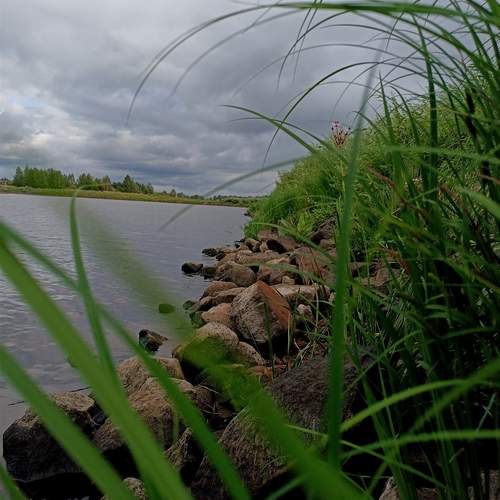 Photo #13334588
