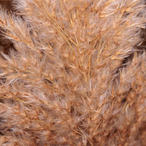 Photo #13334623