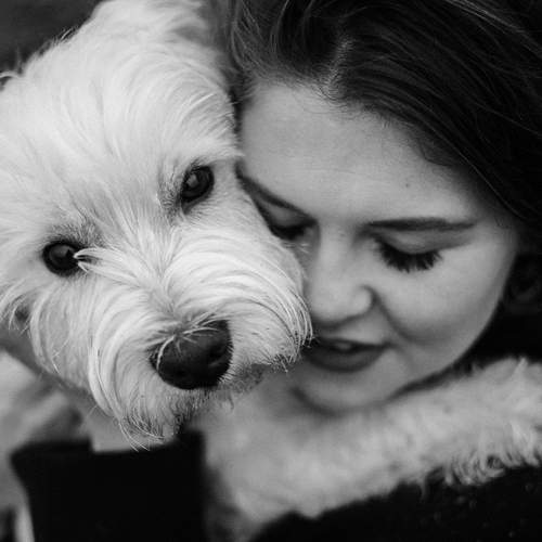 Photo #13334681