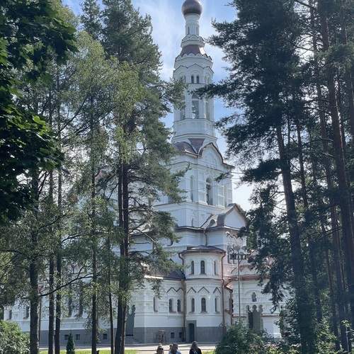 Photo #13334691