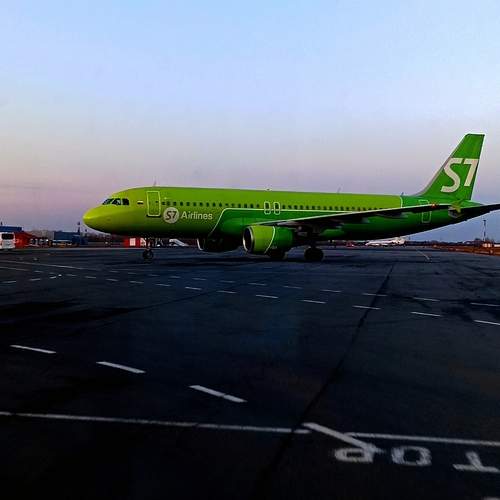 Photo #13334762