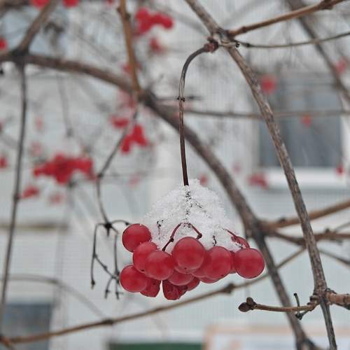 Photo #13334787