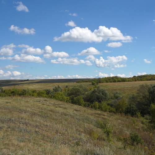 Photo #13334861