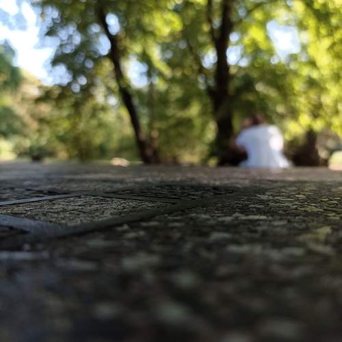Photo #13334915