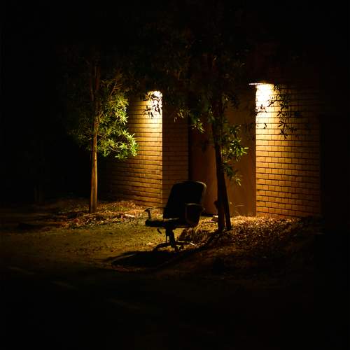 Photo #13334920