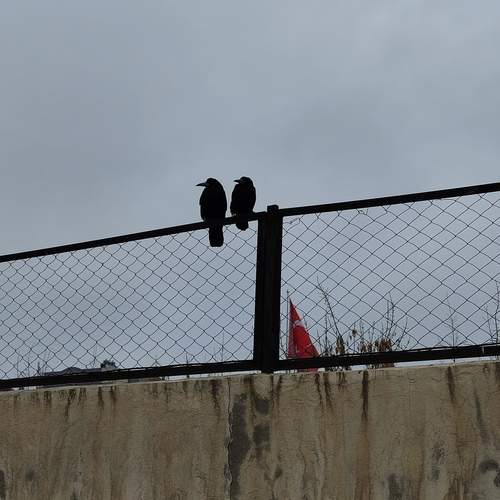Photo #13334947