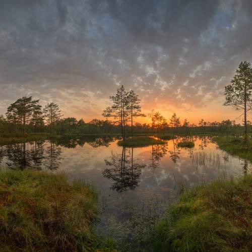 Фотография #13334972