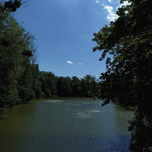 Photo #13335072