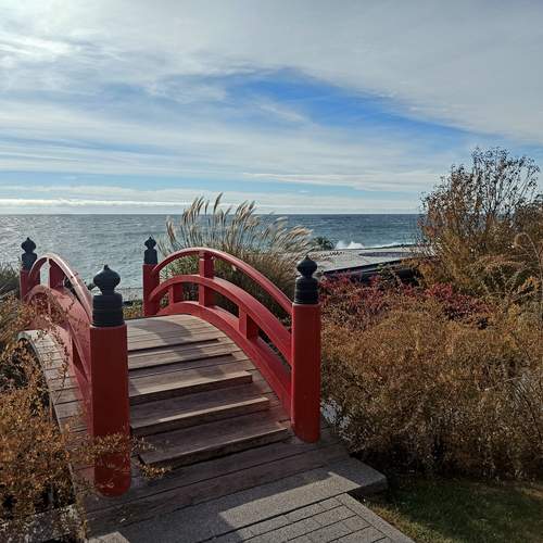 Photo #13335127