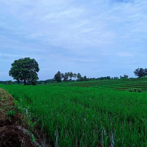 Photo #13335128