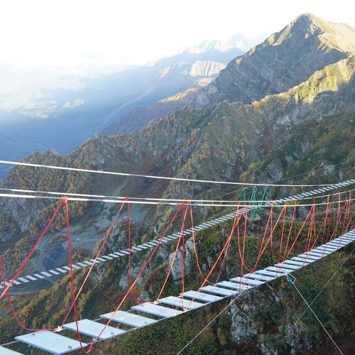 Photo #13335183