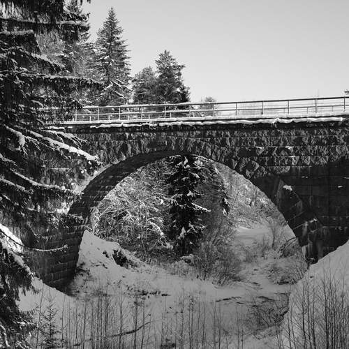 Photo #13335299
