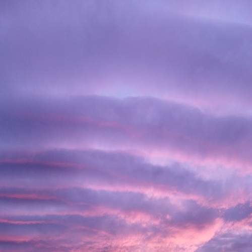 Photo #13335326