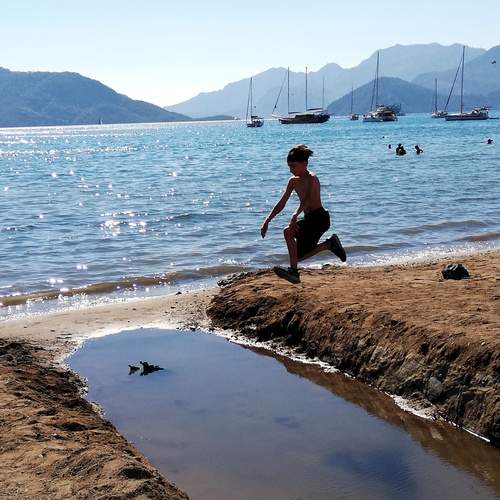 Photo #13335377