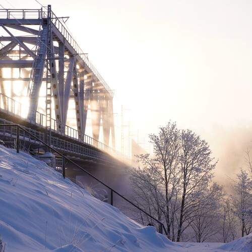 Photo #13335420