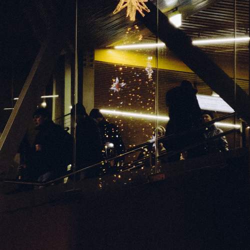 Photo #13335532