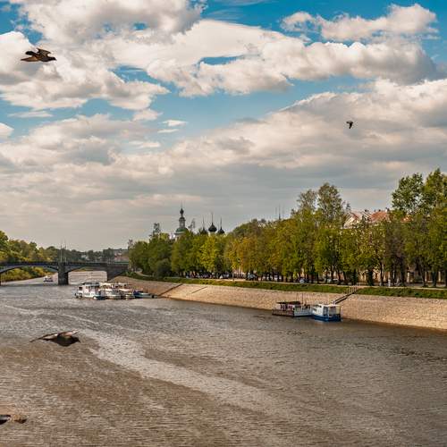 Photo #13335539
