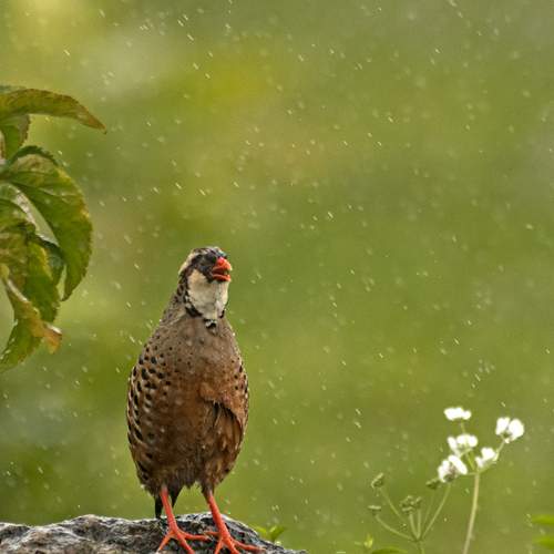 Photo #13335608
