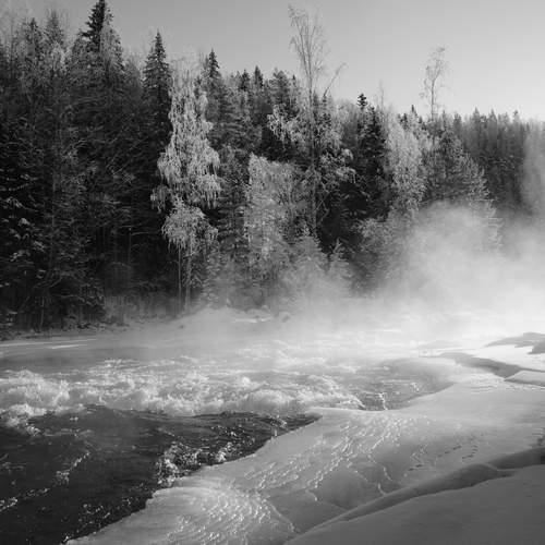 Photo #13335734
