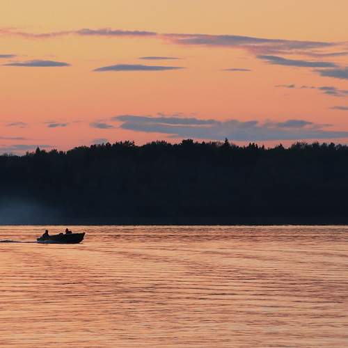 Photo #13335801