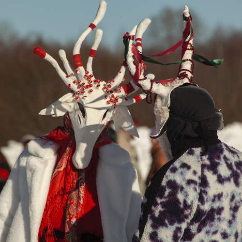 Photo #13335813