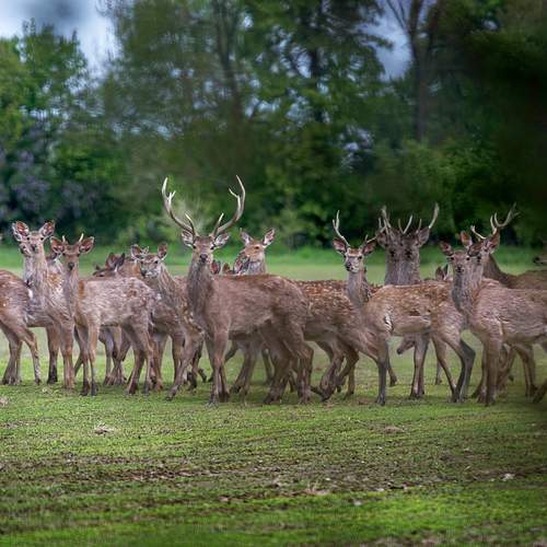 Photo #13335844