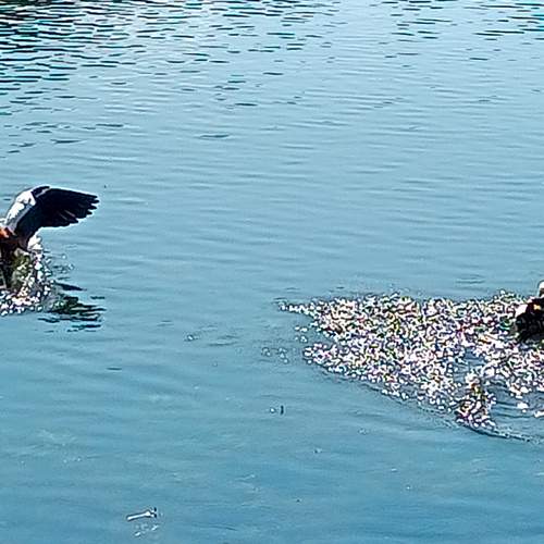 Photo #13335943