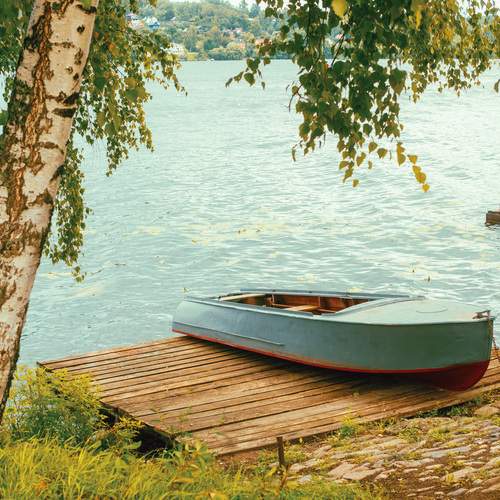 Photo #13336101