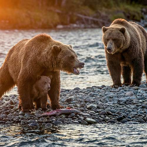 Напряженная ситуация
