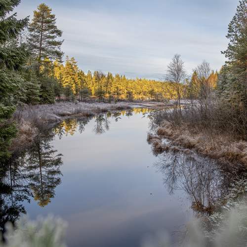 Photo #13336333