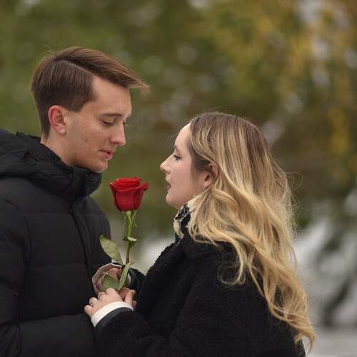 Photo #13336402