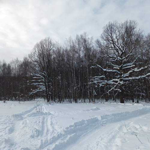Photo #13336470