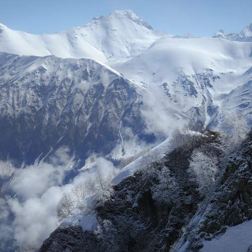 Photo #13336562