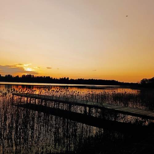 Photo #13336567
