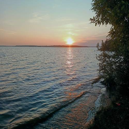 Photo #13336568