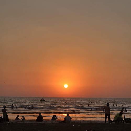 Photo #13336633