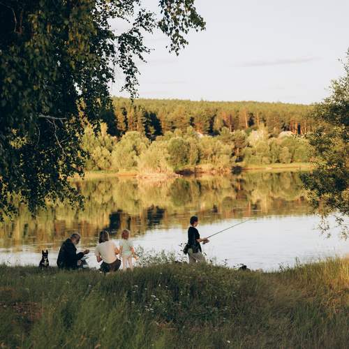Photo #13336699
