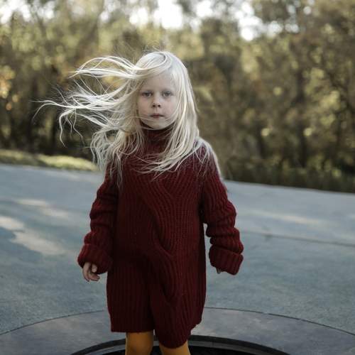 Photo #13336703