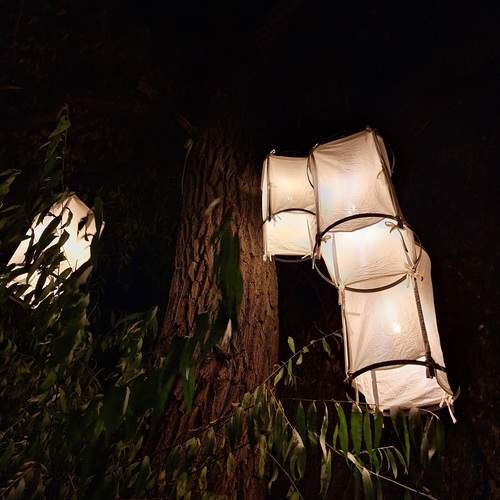 Photo #13336765