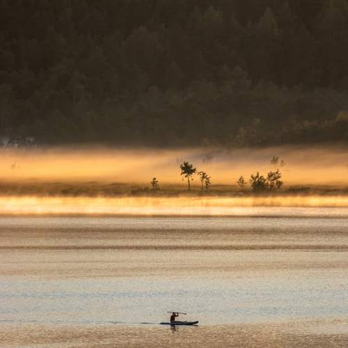 Photo #13336792