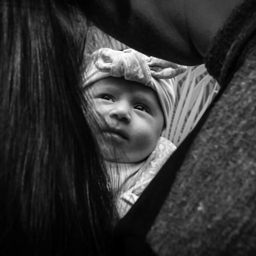 Photo #13336796