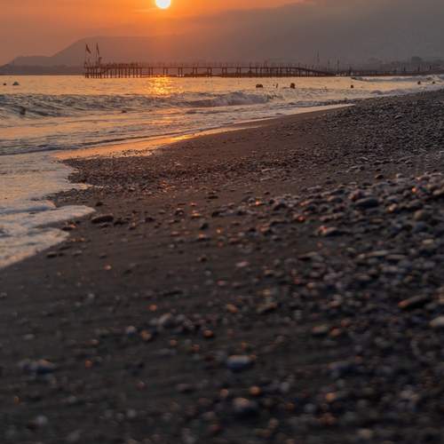 Photo #13336894