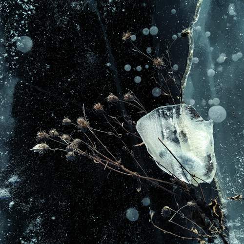 Photo #13336912
