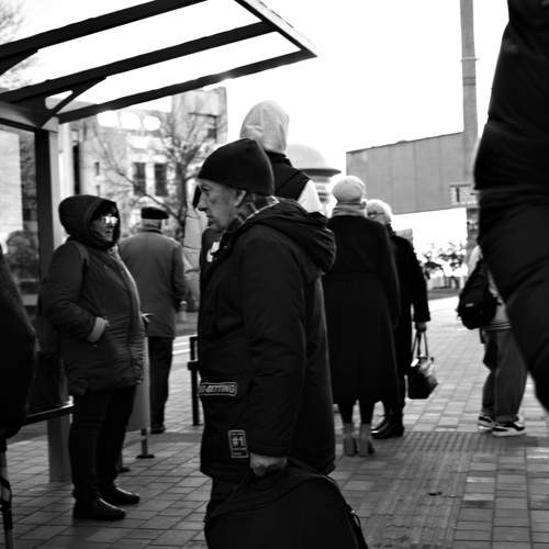 Photo #13336917