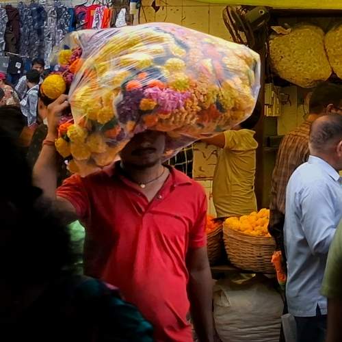 Photo #13337084