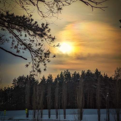 Photo #13337111