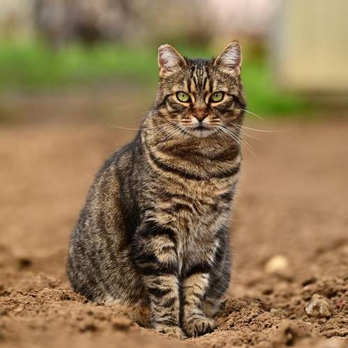 Photo #13337153