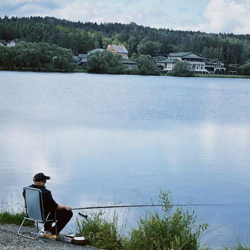 Photo #13337297