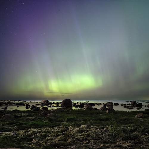 Photo #13337299
