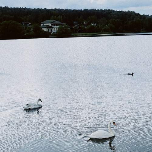 Photo #13337328